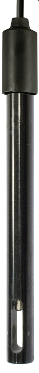 EPT 4